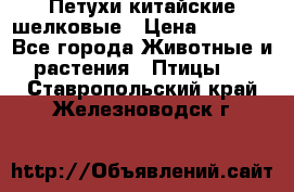 Петухи китайские шелковые › Цена ­ 1 000 - Все города Животные и растения » Птицы   . Ставропольский край,Железноводск г.